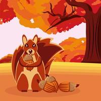 squirrel with acorn and dry leaves vector