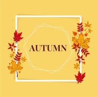 autumn frame and leaves vector