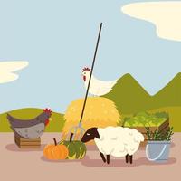 local organic food and animals vector