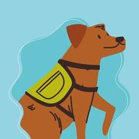cute dog with harness vest vector