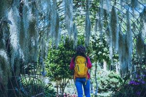 mujeres viajan fotografía naturaleza flor en el parque público. tomar fotografías arco de árbol de musgo español adecuado como fondo. foto