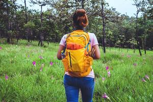 naturaleza de viaje de mujer asiática. viajar relajarse. fotografía campo de flores de pepino sessilis. foto