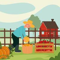 farmer boy picking fruits vector