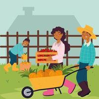 farmers holds fruits food vector