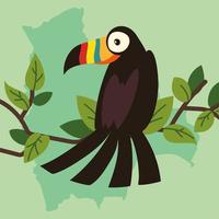 toucan on branch vector