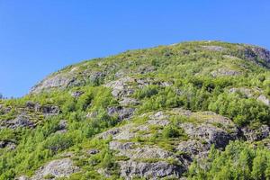 hermoso paisaje noruego con árboles abetos montañas rocas. naturaleza noruega. foto