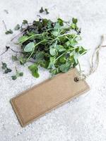 Assortment of micro greens on concrete background photo