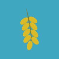 Branch of date palm fruit icon in flat long shadow design vector