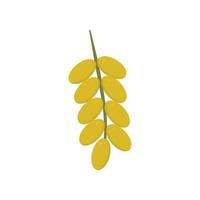 Branch of date palm fruit icon in flat design vector