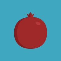 Pomegranate icon in flat long shadow design vector