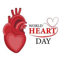 world heart day vector image