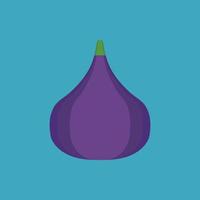 Fig icon in flat long shadow design vector
