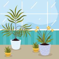 houseplants care at home vector