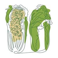 Chinese cabbage whole and cut in half drawn in one solid line by hand on a background of green and beige abstract spots on a white background vector