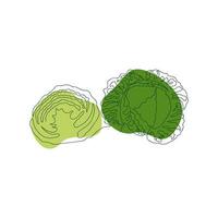 savoy cabbage whole and cut in half, hand drawn in one solid line against a background of green abstract spots on a white background vector