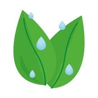 leaf with water drops vector