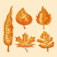 five autumn leafs vector