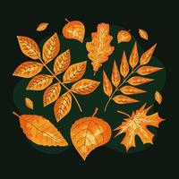 twelve autumn leafs vector