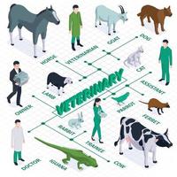 Veterinary Isometric Flowchart Composition vector