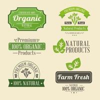 icons with label for fresh products vector