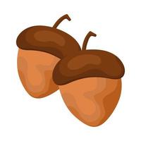 acorn or nut vector