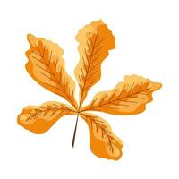 autumn chestnut leaf vector