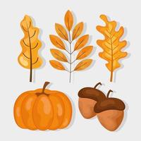 hojas de otoño plantas vector