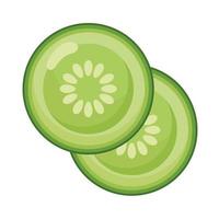 slice cucumber vegetables vector