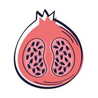 half pomegranate fruit icon vector