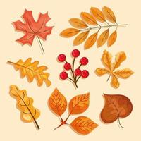 iconos de hojas de otoño vector