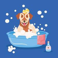 cartel con mascota en la bañera. vector