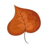 autumn birch leaf vector