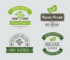 bundle icons for fresh products vector