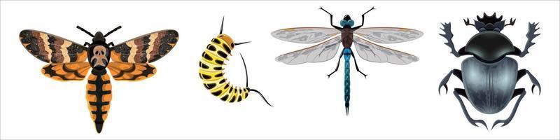 Insects or bugs vector