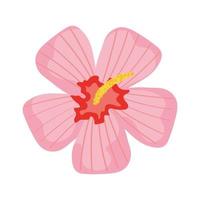 pink lotus flower vector