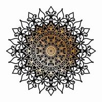 decorative concept abstract mandala illustration. vector