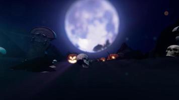 fond d'halloween, animation de chauves-souris video