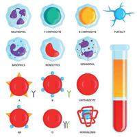 Blood Cells Set vector