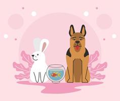 pets domestics animals vector