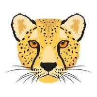 wild leopard animal head fauna character vector