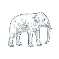 icono de estilo dibujado de personaje realista de elefante vector