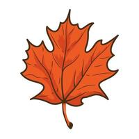 autumn maple leaf nature icon vector