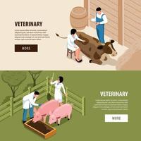 Farm Veterinary Isometric Banners vector