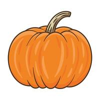 calabaza otoño fruta estacional icono vector