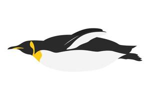 little cute penguin bird lying down character vector