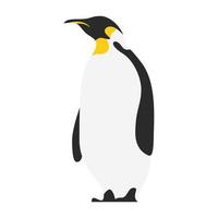 little cute penguin bird character vector