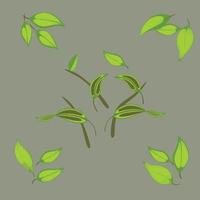 green leaves with a gray background vector