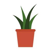 Planta de interior en maceta de cerámica icono aislado vector