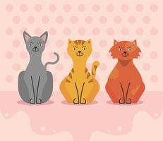 three cats characters vector