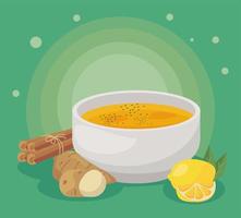 sopa y remedios caseros vector
